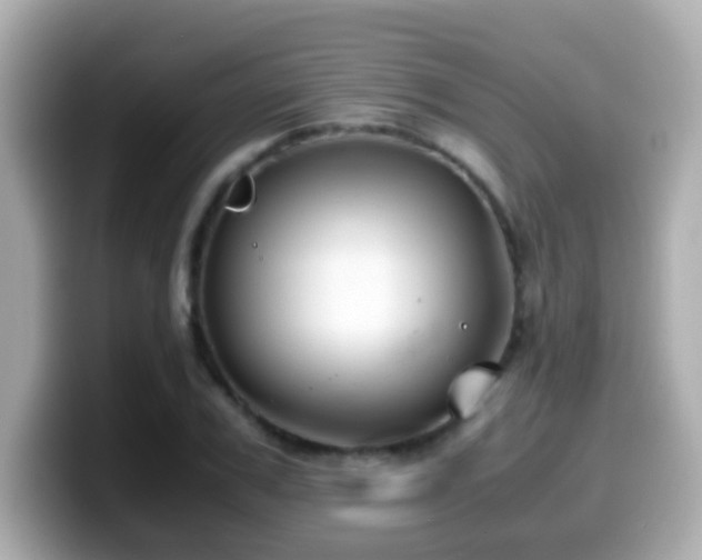X0000099990979200805231449
