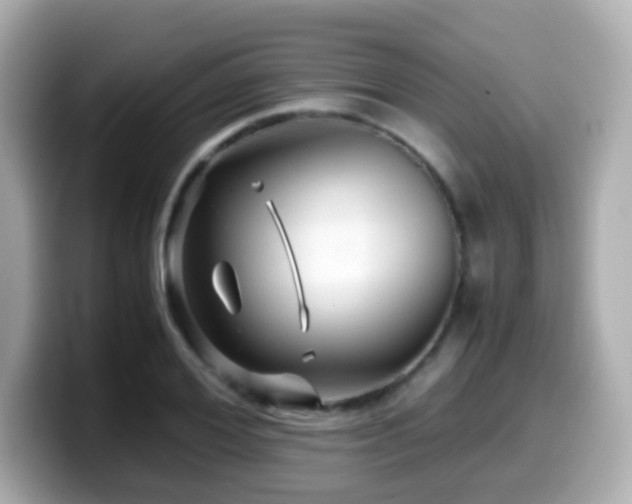X0000099990980200805231449