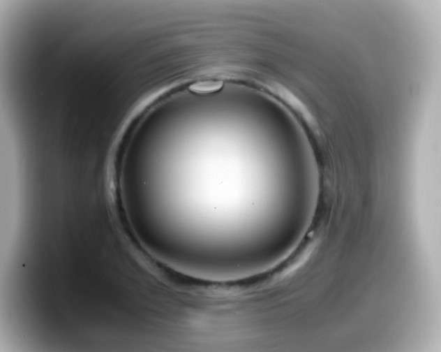 X0000099990981200805231449