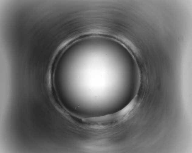 X0000099990982200805231449