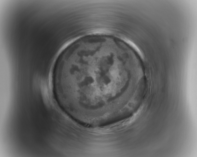 X0000099990983200805231449