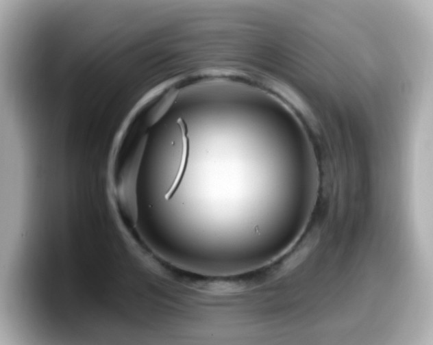 X0000099990984200805231449
