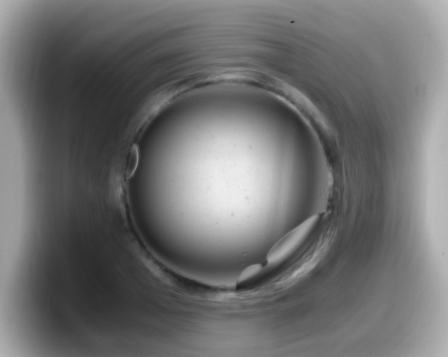 X0000099990985200805231449