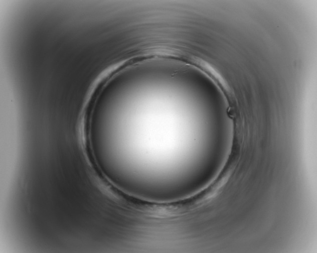 X0000099990987200805231449