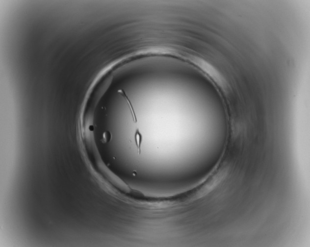 X0000099990988200805231449