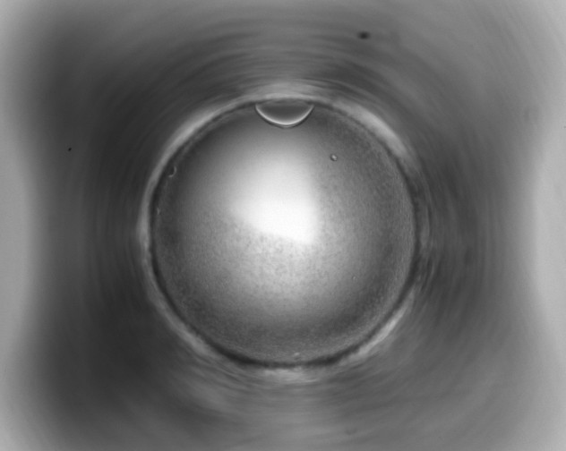 X0000099990990200805231449