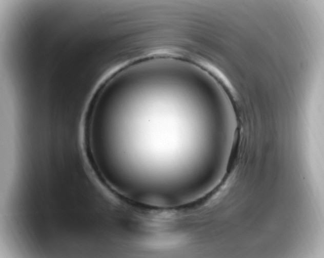 X0000099990991200805231449