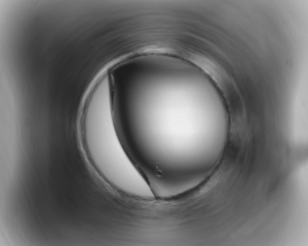 X0000099990992200805231449