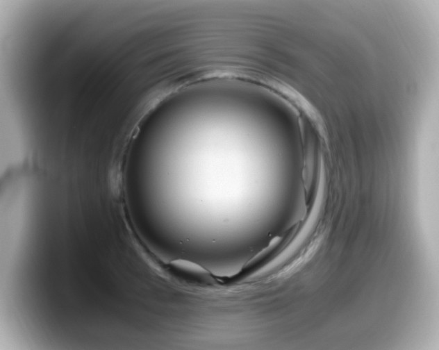 X0000099990993200805231449