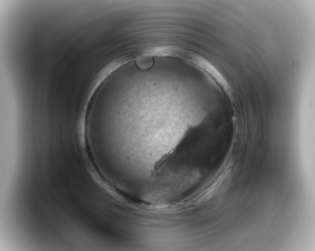 X0000099990994200805231449