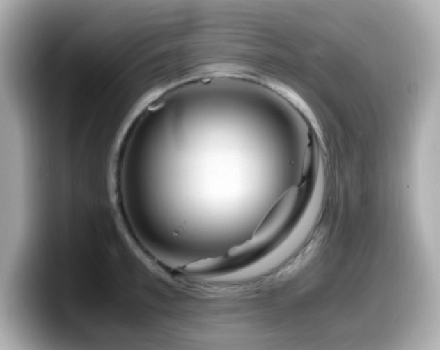 X0000099990997200805231449