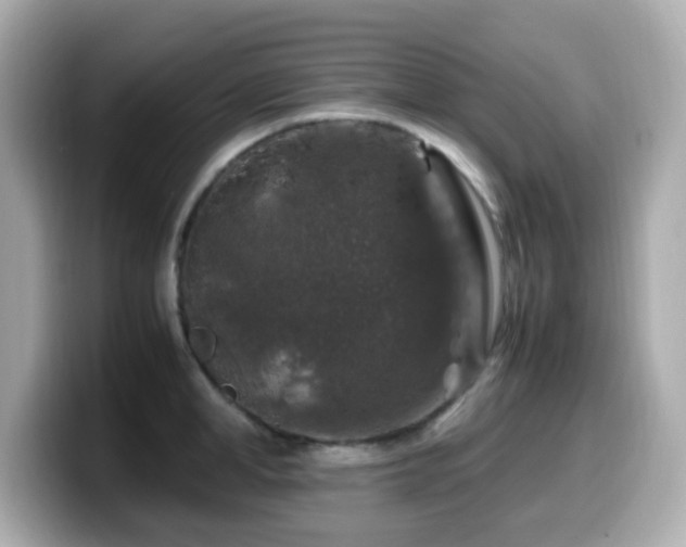 X0000099990998200805231449