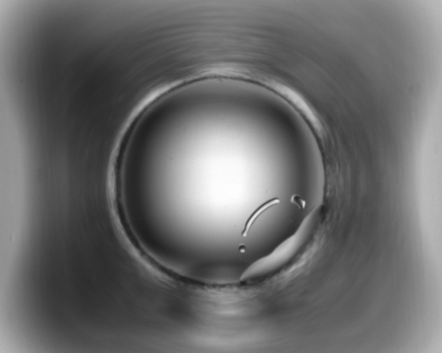 X0000099990999200805231449