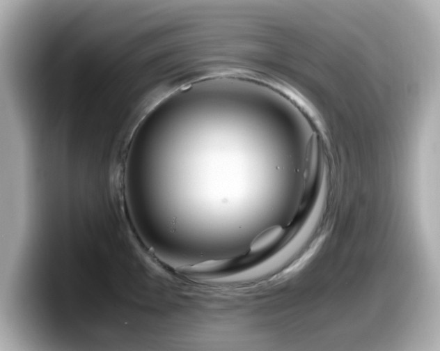 X0000099991001200805231449