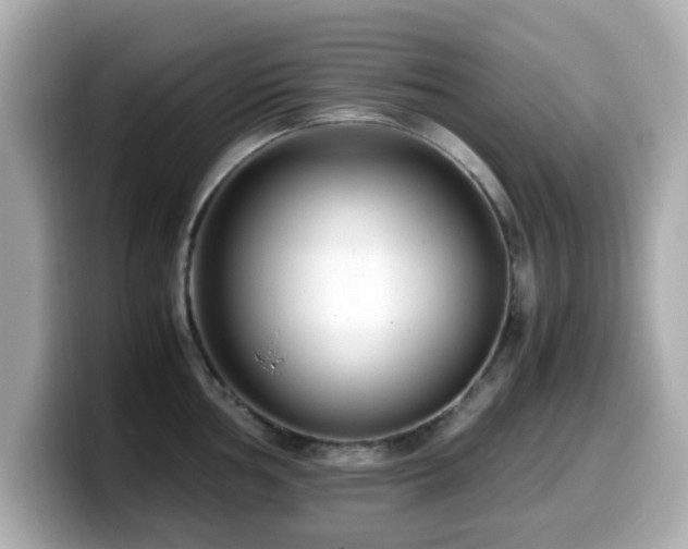 X0000099991002200805231449