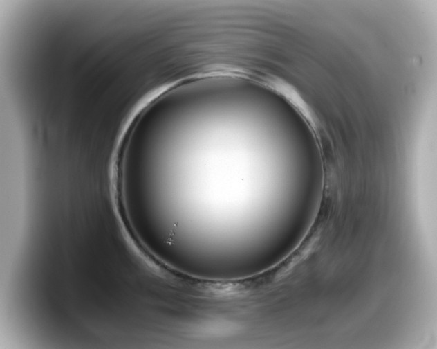X0000099991003200805231449