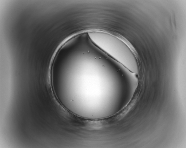 X0000099991004200805231449