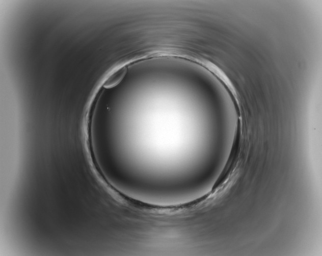 X0000099991005200805231449