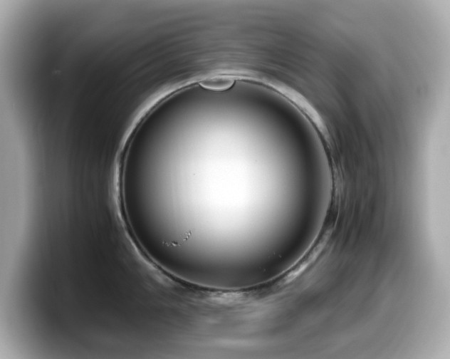 X0000099991006200805231449