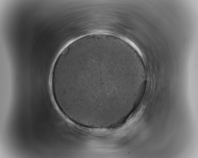X0000099991007200805231449