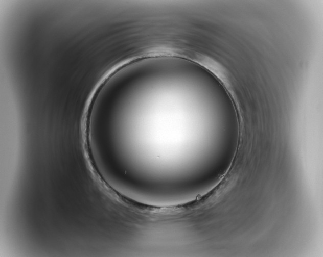X0000099991008200805231449