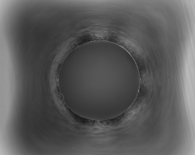 X0000099991009200805231448
