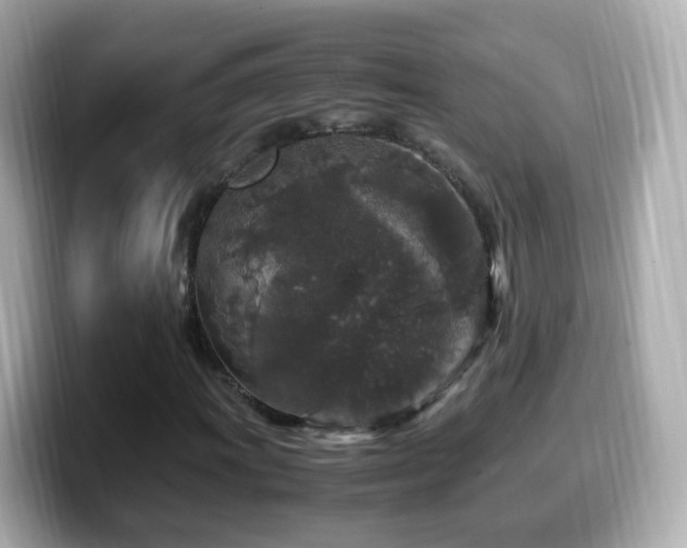 X0000099991011200805231448
