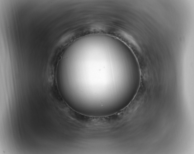 X0000099991015200805231448