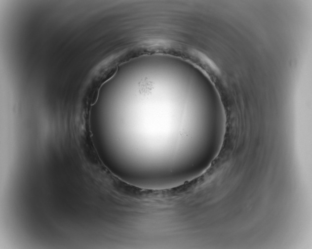 X0000099991016200805231448