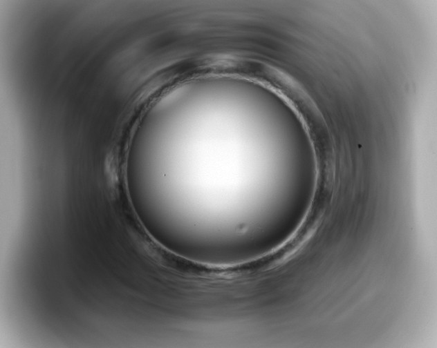 X0000099991017200805231448