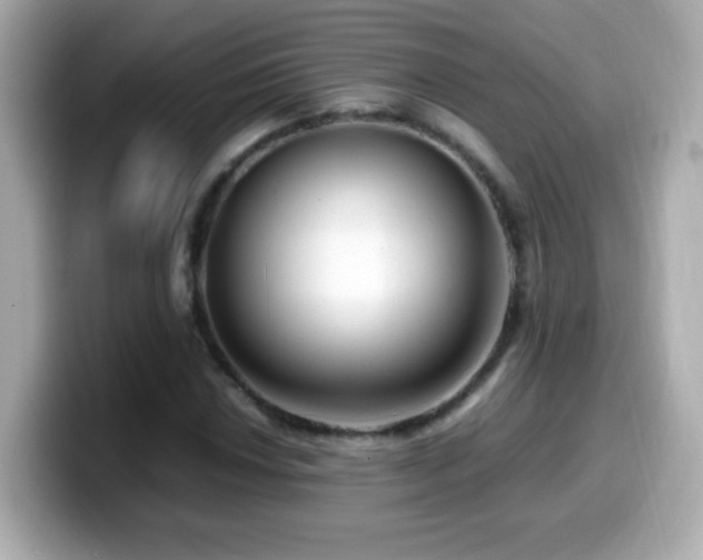 X0000099991018200805231448