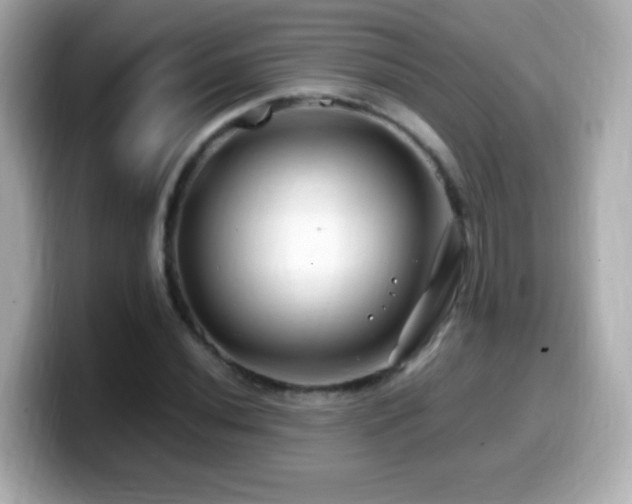 X0000099991020200805231448