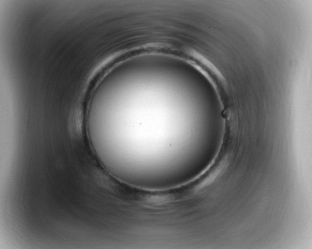 X0000099991021200805231448