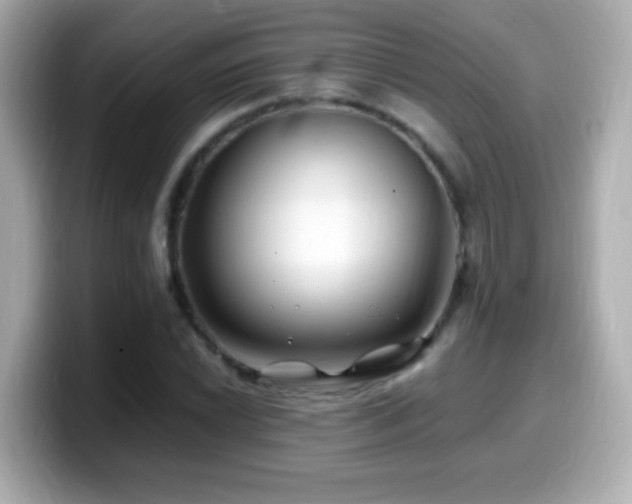 X0000099991022200805231448
