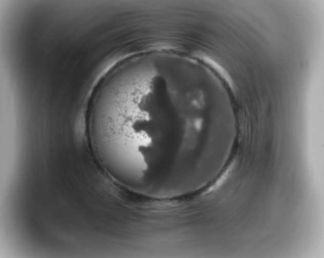 X0000099991023200805231448