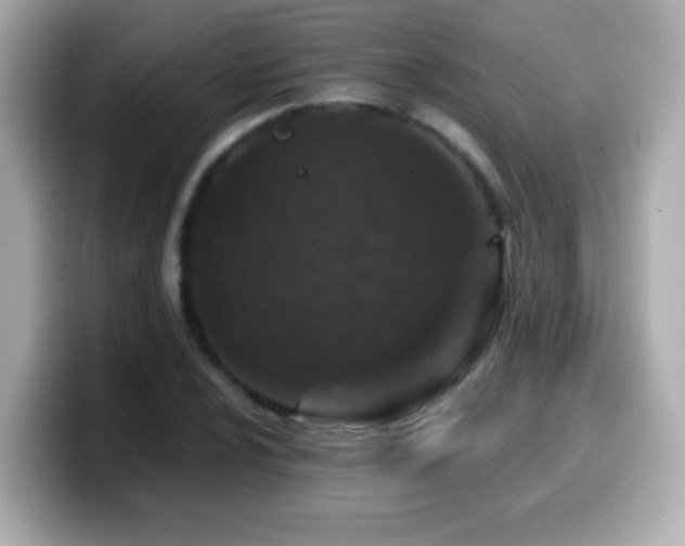 X0000099991024200805231448