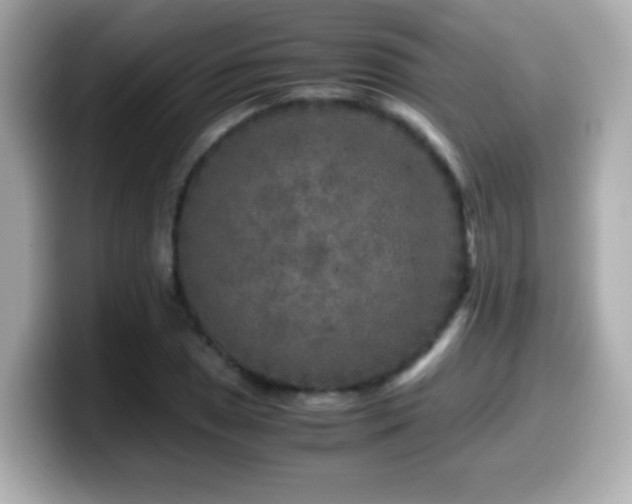X0000099991025200805231448