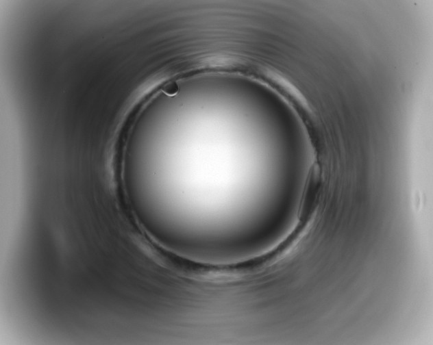 X0000099991026200805231448