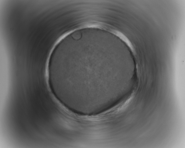 X0000099991028200805231448