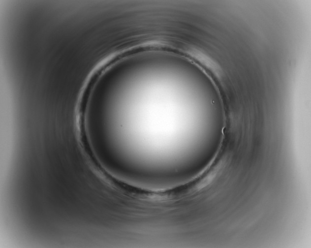 X0000099991029200805231448