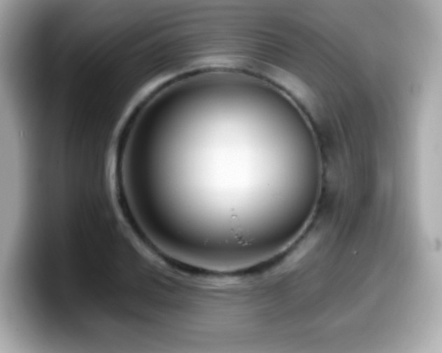 X0000099991030200805231448