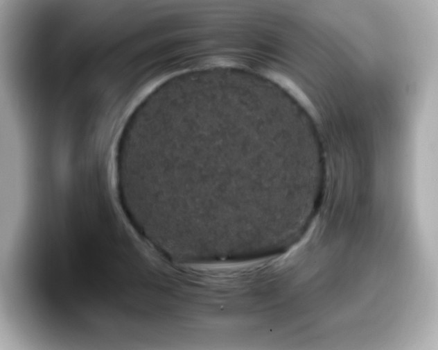 X0000099991031200805231448