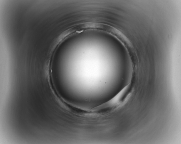 X0000099991033200805231448