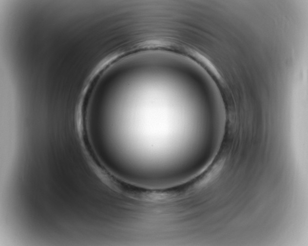X0000099991034200805231448