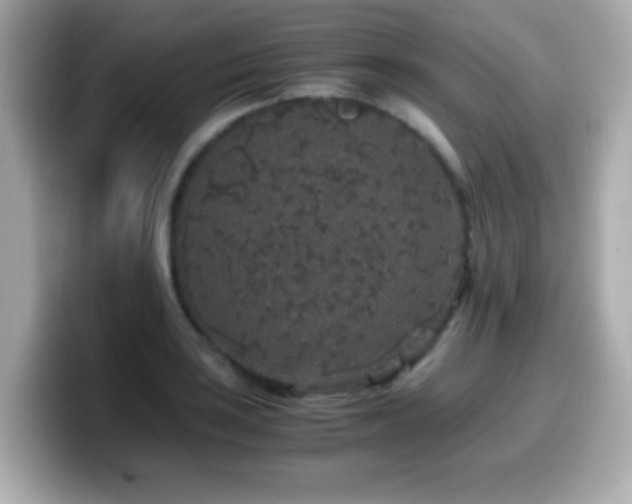 X0000099991035200805231448
