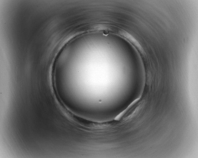 X0000099991039200805231448