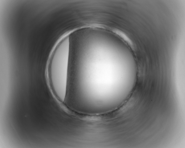 X0000099991040200805231448