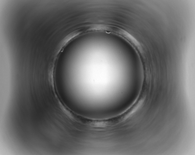 X0000099991041200805231448
