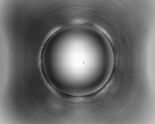 X0000099991042200805231448