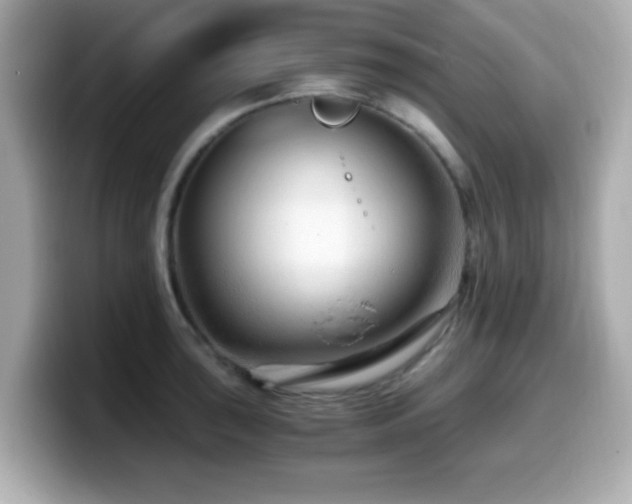 X0000099991043200805231448